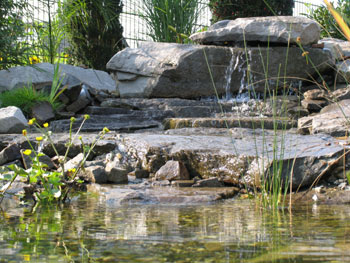  Wasserlauf am Schwimmteich