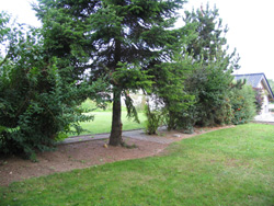 große Bäume im Garten große Bäume im Garten