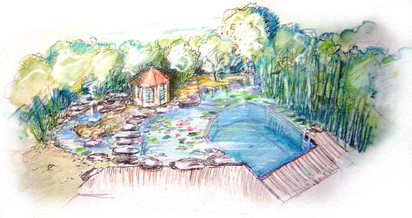 mediterrane G�rten: Planung in 3D Ansichtsskizze f�r den Schwimmteich