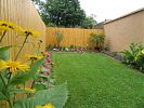 Gartenbereich mit verschiedenen Blumen
