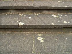 erneuerungsbed&uuml;rftige Betonsteinplatten