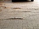 Pflaster angehoben durch Baumwurzeln
