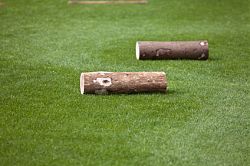 Fu&szlig;ballgolf-Baumstamm-Hindernis