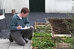 Vollst�ndigkeitskontrolle der Pflanzen