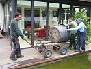 Transport gro�er B�ume