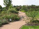 B�ume und Str�ucher am Rand der Wege