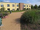 gro�e Gr�ser als Blickfang am Wegesrand