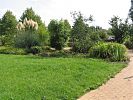 Pampasgras und andere Str�ucher