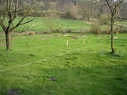 Wiese vorher Wiese vorher