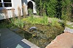 Zulaufbecken, Speisung von Dachrinne mit Vorkl�rung