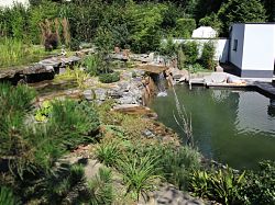 Überblick gesamter Schwimmteich Überblick gesamter Schwimmteich