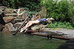 Kopfsprung in den Schwimmteich