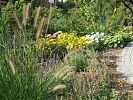 Gr�ser und Stauden