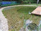 Naturerlebnisbad mit bepflanzter Flachwasserzone