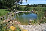 Schwimmteich-nat�rlich