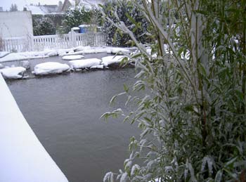 Gartenteich im Winter