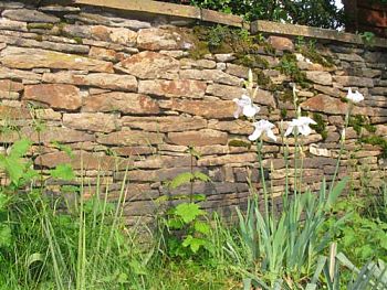 alte Trockenmauer aus flachem Schichtgestein