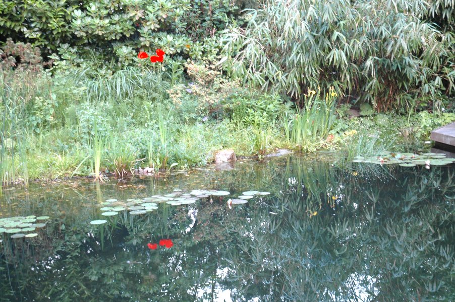 Schwimmteich In Der Region Ratingen Mettmann Heiligenhaus
