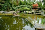 Blick über die Flachwasserzone zum Bachlauf