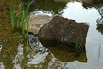 Sandsteine im Wasser