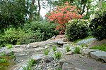 Bachlauf am Wassergarten