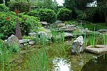 Blick über die hydrobotanische Zone zum Bachlauf