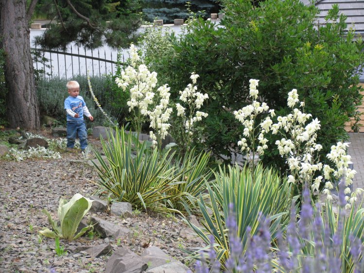 mediterrane gartengestaltung mediterrane gartengestaltung, Garten und Bauten