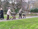 Senioren mit Rollator spazieren in Richtung Teich.