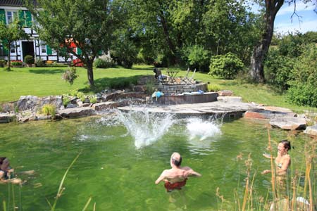 solide Planung garantiert einen unbeschwerten Sprung in den Schwimmteich