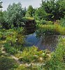 naturnahe Gestaltung des Teichrandbereichs mit Kieselweg