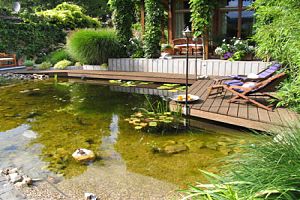 ein Garten mit Schwimmteich und Holzsteg hat seinen Preis