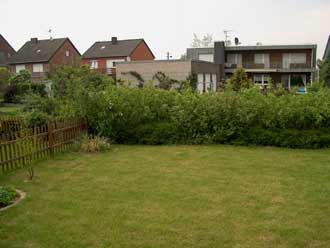 kleiner 100 qm Garten mit Rasenfläche, Holzzaun und Hartriegelhecke