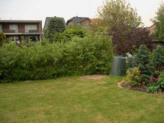 Hartriegelhecke und Pflanzbeete im kleinen Garten