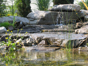  Wasserlauf am Schwimmteich