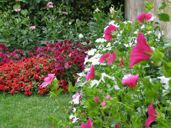 Sommerblumen-Demenzgarten