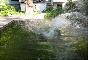 Kinder plantschen im Schwimmteich