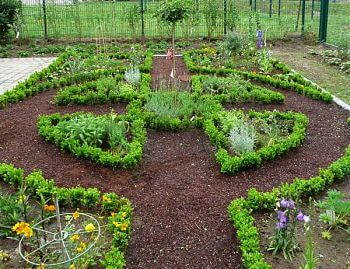 kleine Buchsbaumhecken dienen im Bauerngarten der Abgrenzung