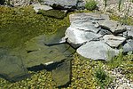 unregelmäßige Natursteinplatten füren in den Flachwasserbereich.