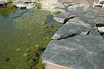 Trittsteine aus Ruhrsandstein führen über das Wasser