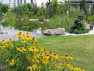 Blick über die Goldsturm-Rudbeckien zum oberen Teich