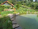 Felsbrocken führen über das Wasser