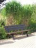 Bank im Park mit Bambus im Hintergrund