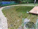 Naturerlebnisbad mit bepflanzter Flachwasserzone