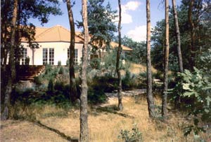 Naturgarten am Wald