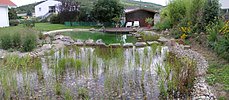 Schwimmteich mit Trittsteinen über das Wasser