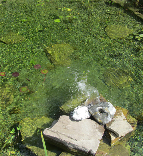 Submerse, hydrobotanische Anlage