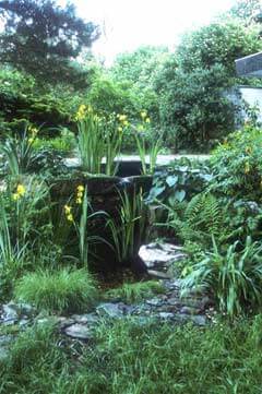 Sumpfzone und Wasserfall im Naturgarten