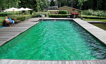 Schwimmteich Typ Kategorie 5