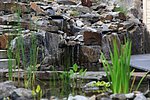 Wasserfall im Felsenhang