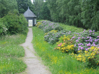 wassergebundene Decke